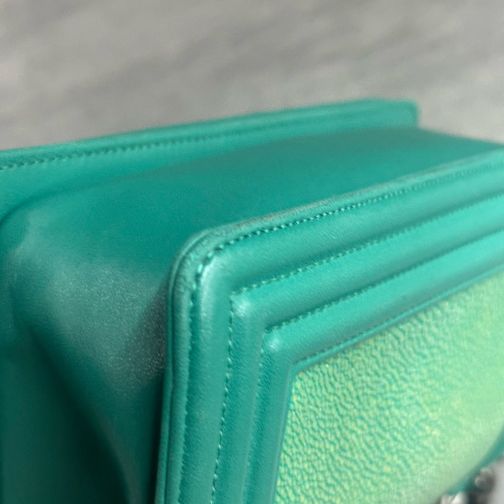 Chanel leboy limited edition Fish skin small size green