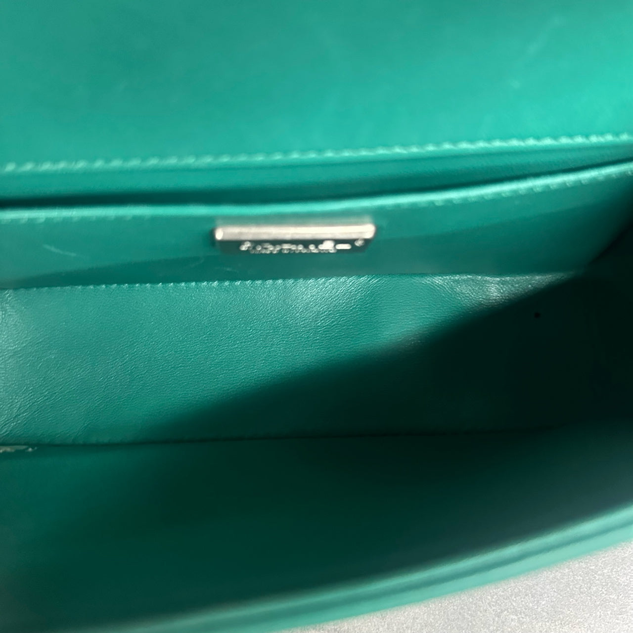 Chanel leboy limited edition Fish skin small size green