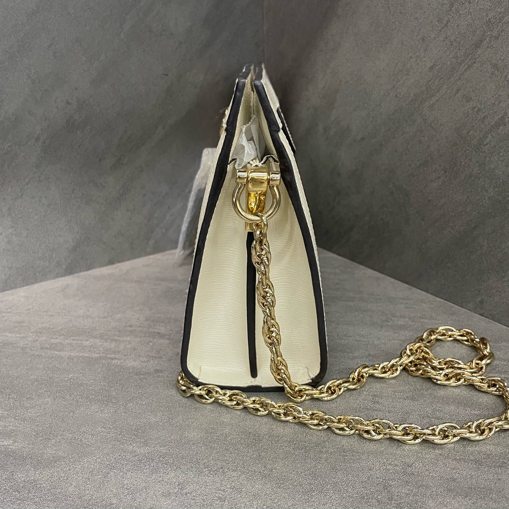 Gucci Ophidia chain bag Japan exclusive series