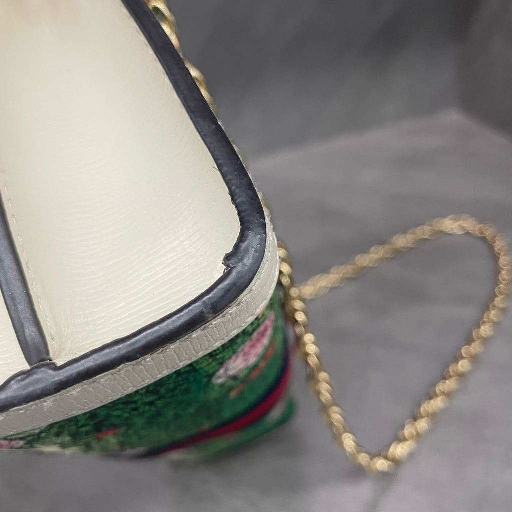 Gucci Ophidia chain bag Japan exclusive series