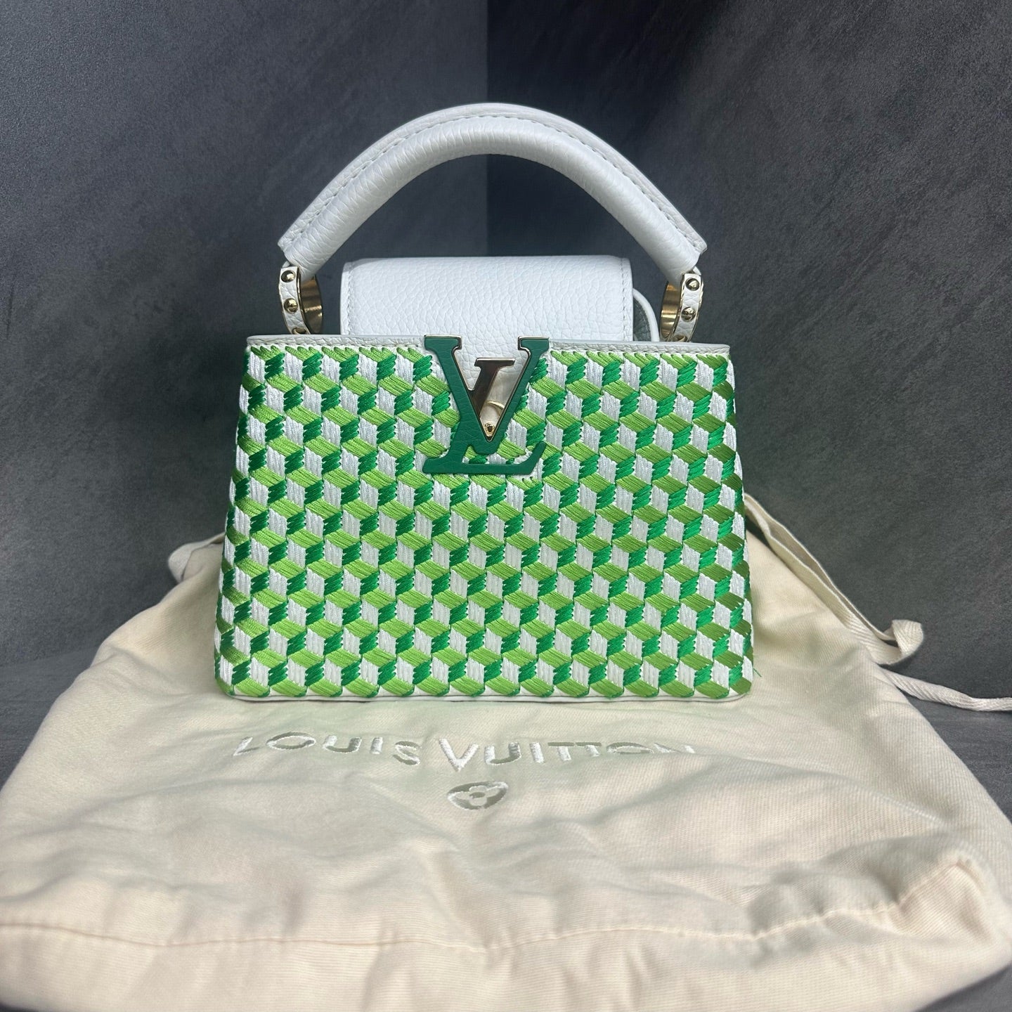 Louis Vuitton Capucines mini size Limited Embroidery style edition green-white