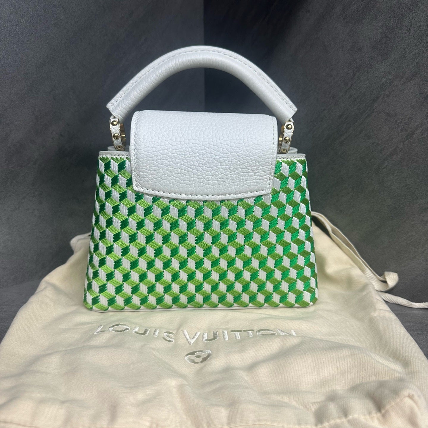 Louis Vuitton Capucines mini size Limited Embroidery style edition green-white