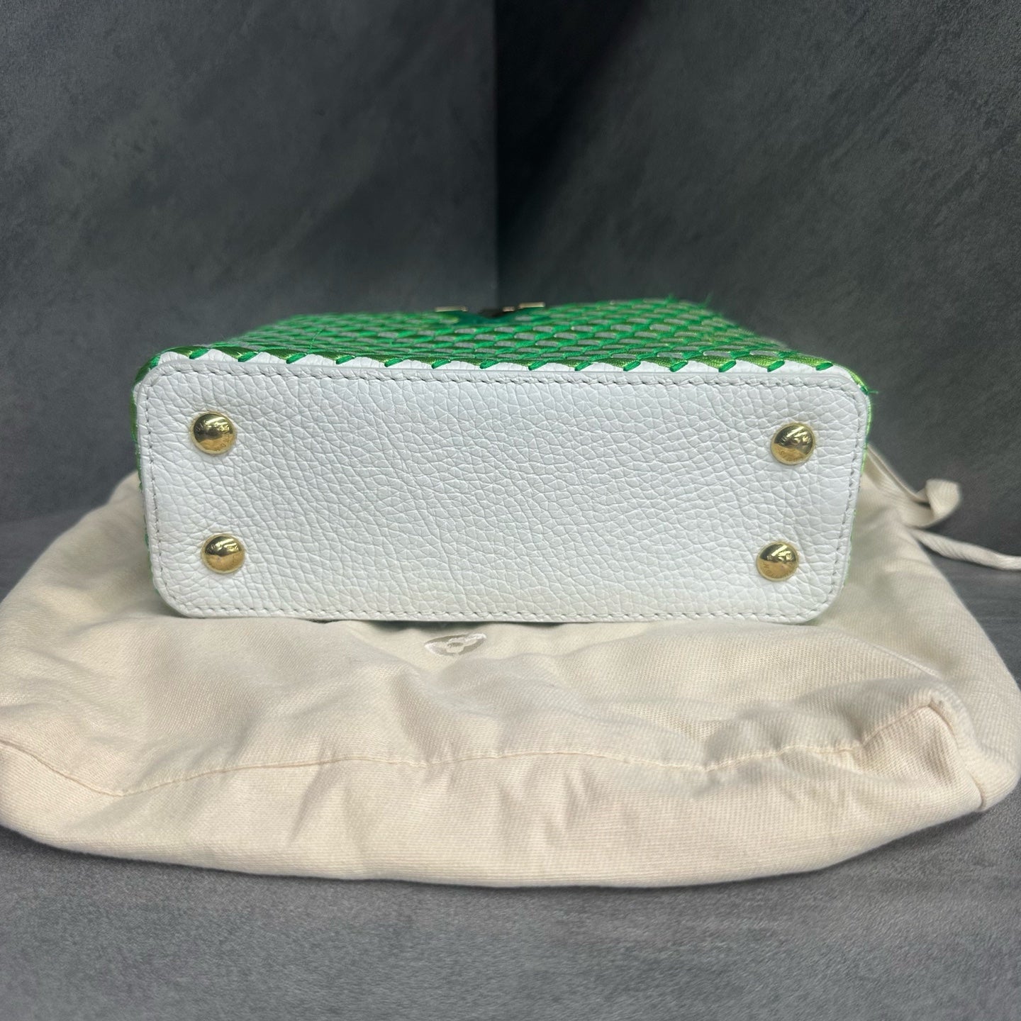 Louis Vuitton Capucines mini size Limited Embroidery style edition green-white