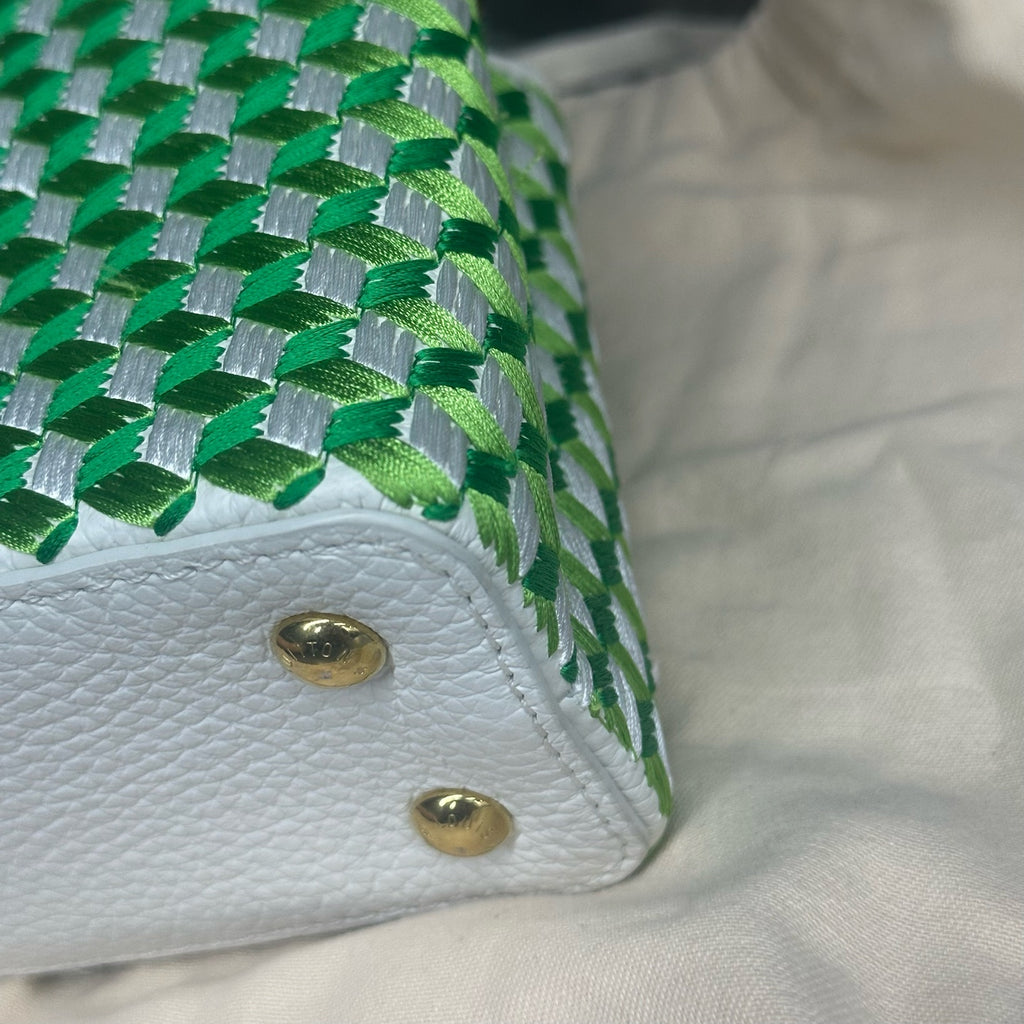 Louis Vuitton Capucines mini size Limited Embroidery style edition green-white