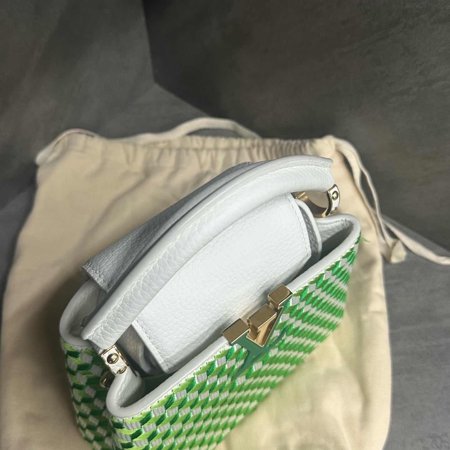 Louis Vuitton Capucines mini size Limited Embroidery style edition green-white