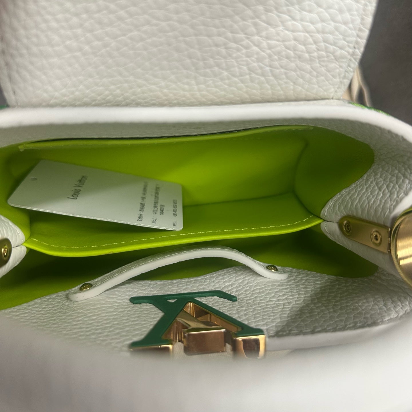 Louis Vuitton Capucines mini size Limited Embroidery style edition green-white